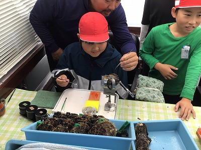 3・4・5・6年_総合的な学習の時間_西原　睦美_真珠養殖見学 (5)