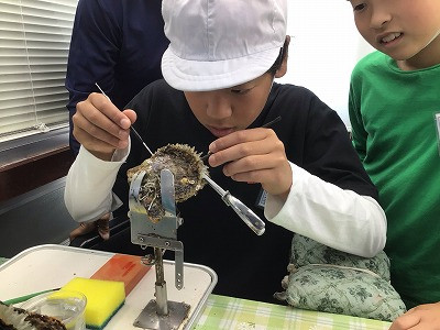 3・4・5・6年_総合的な学習の時間_西原　睦美_真珠養殖見学 (6)