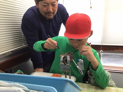 3・4・5・6年_総合的な学習の時間_西原　睦美_真珠養殖見学 (7)