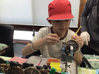3・4・5・6年_総合的な学習の時間_西原　睦美_真珠養殖見学 (9)