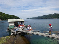 DSC00877