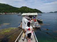 DSC00878