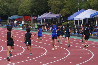 DSC09915-1