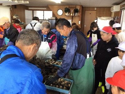 3・4・5・6年_総合的な学習の時間_西原　睦美_海の学習（真珠編）_1