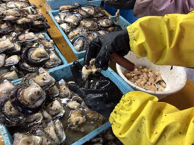 3・4・5・6年_総合的な学習の時間_西原　睦美_海の学習（真珠編）_10