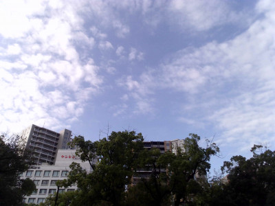 IMG_20260910_075004