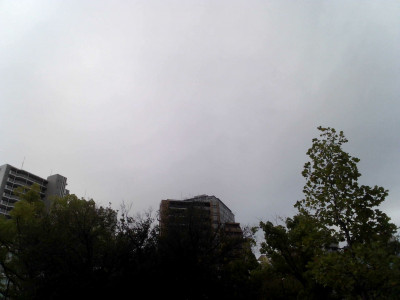 IMG_20260911_073513